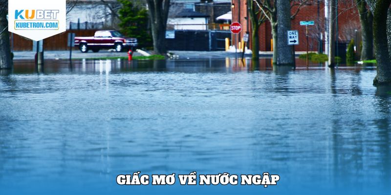 Giấc mơ về nước ngập